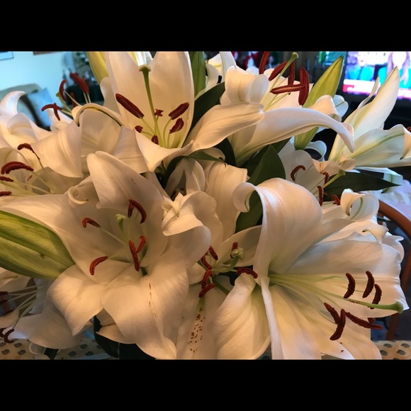 Jacket - Picture 3 of 8